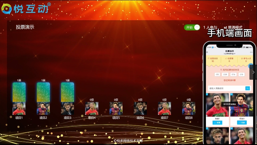 投票